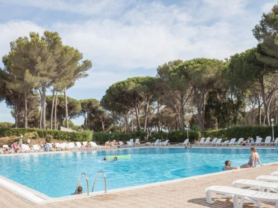 Bel Appartement Vue Sur Piscine 1 Chambre Fermee Et 1 Espace Cabine Saint-Raphaël Exteriér fotografie