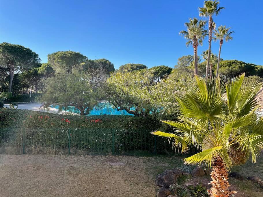 Bel Appartement Vue Sur Piscine 1 Chambre Fermee Et 1 Espace Cabine Saint-Raphaël Exteriér fotografie